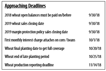 Approaching Deadlines September 2018