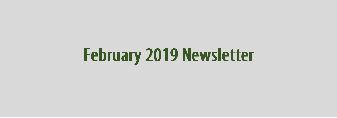 February 2019 Lund and Smith Newsletter