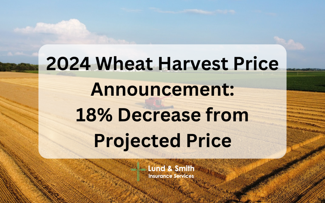 2024 Wheat Harvest Price Announcement