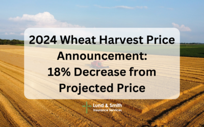 2024 Wheat Harvest Price Announcement