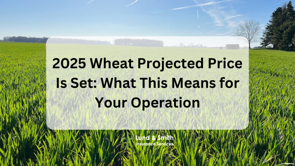 Projected Price 2025 Wheat Projected Price Is Set: What This Means for Your Operation ...