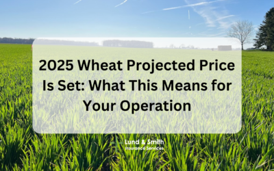 2025 Wheat Projected Price Is Set: What This Means for Your Operation