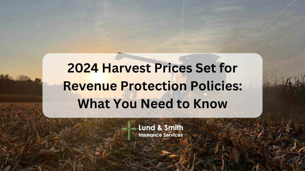 2024 Corn and Soybean Harvest Prices Set: What Farmers Need to Know ...