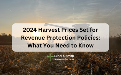 2024 Harvest Prices Set for Revenue Protection Policies: What You Need to Know