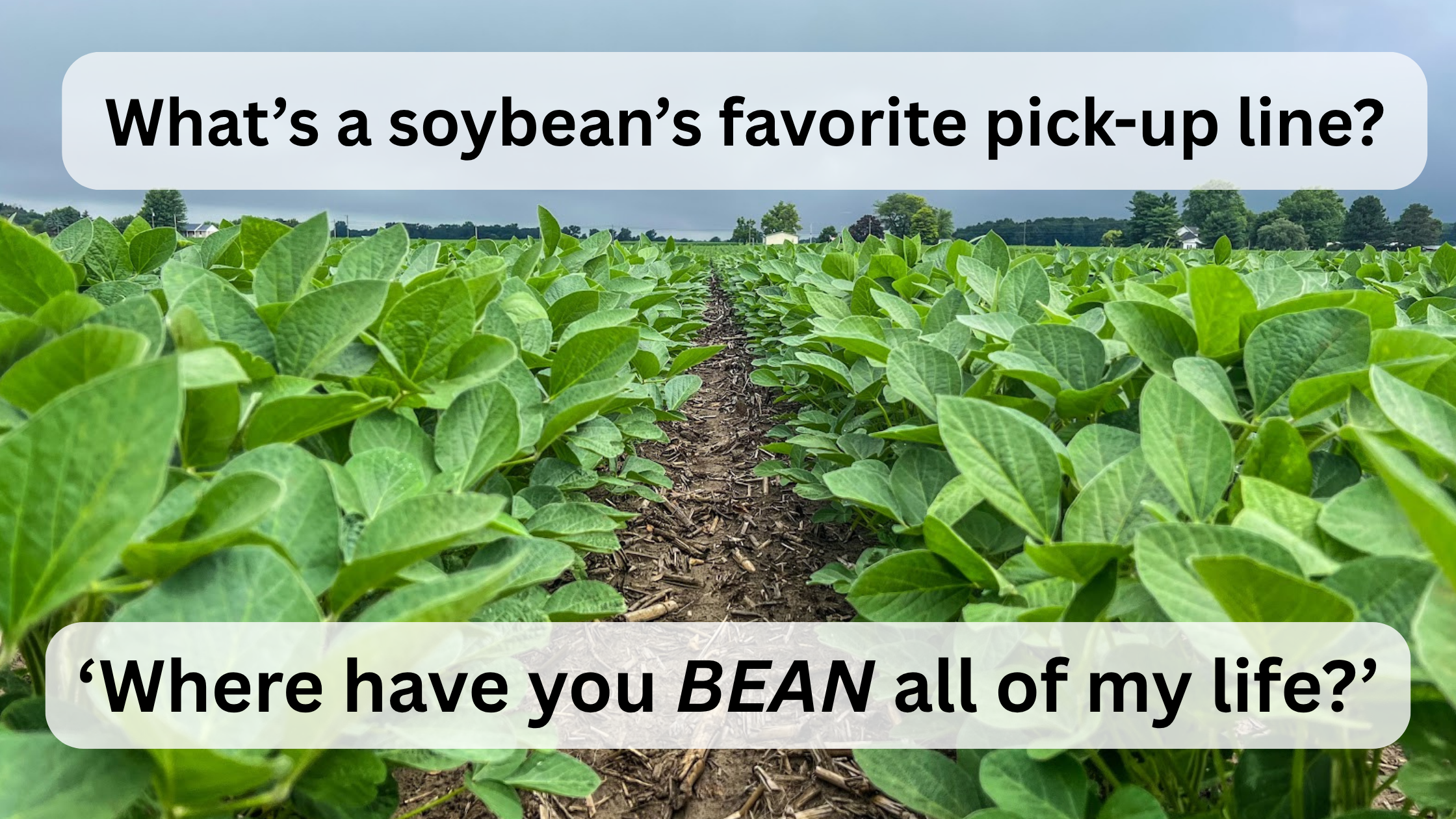 2025 fall Farm Joke