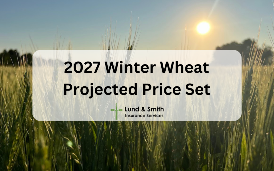 2027 Winter Wheat Projected Price Set